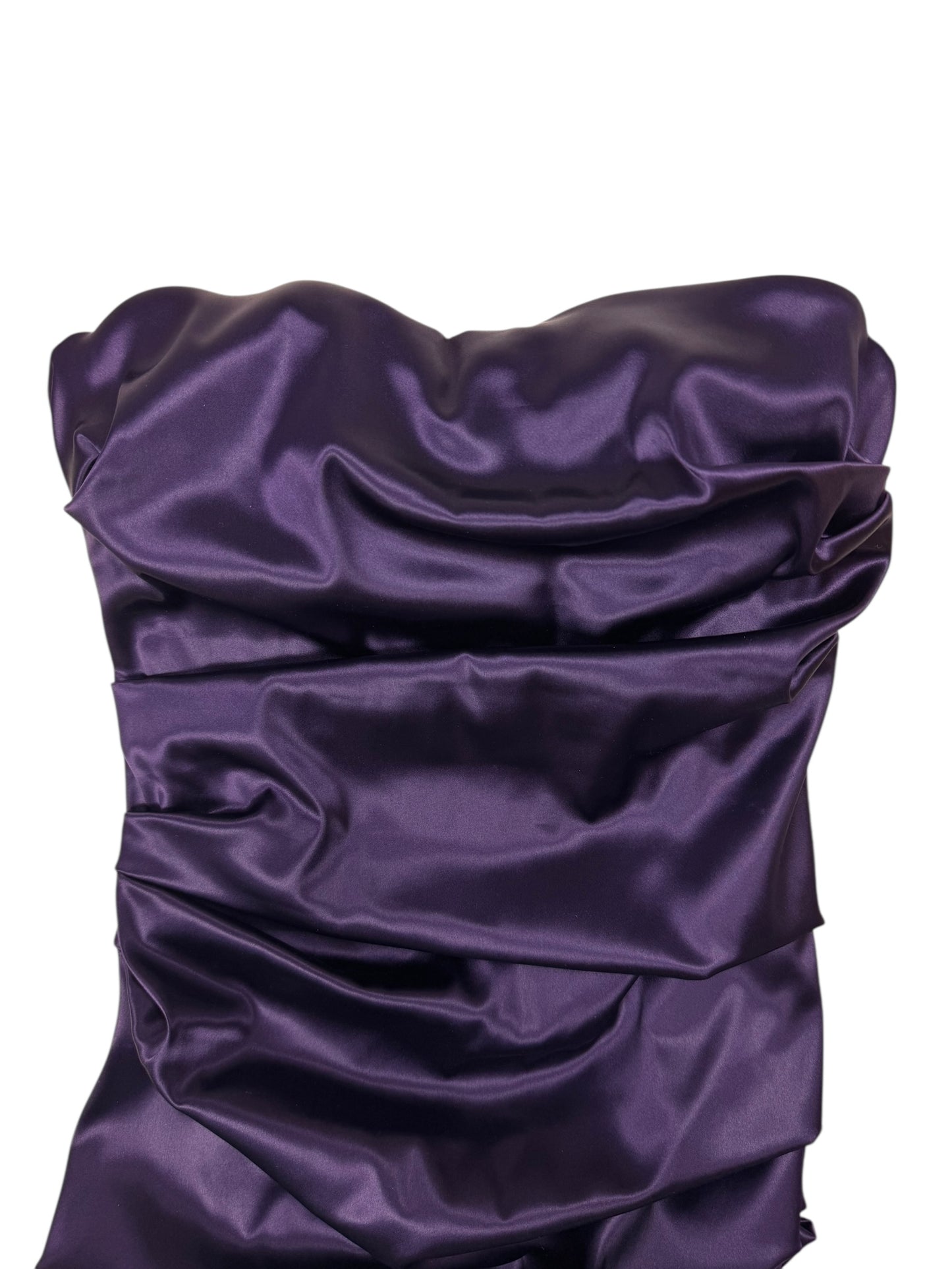 Dolce & Gabbana F/W 2009 corseted gown